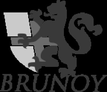 Logo BRUNOY