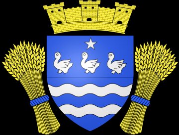 Logo CERNY